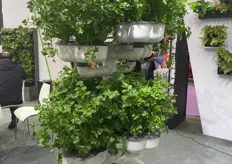 Hydroponic growing systems.